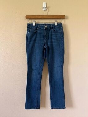 Ann Taylor Dark Blue Straight-Leg Jeans